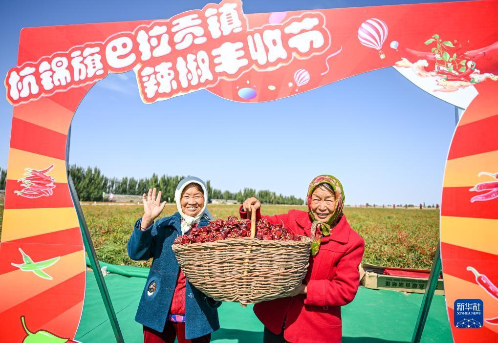 摆脱游戏手机官网